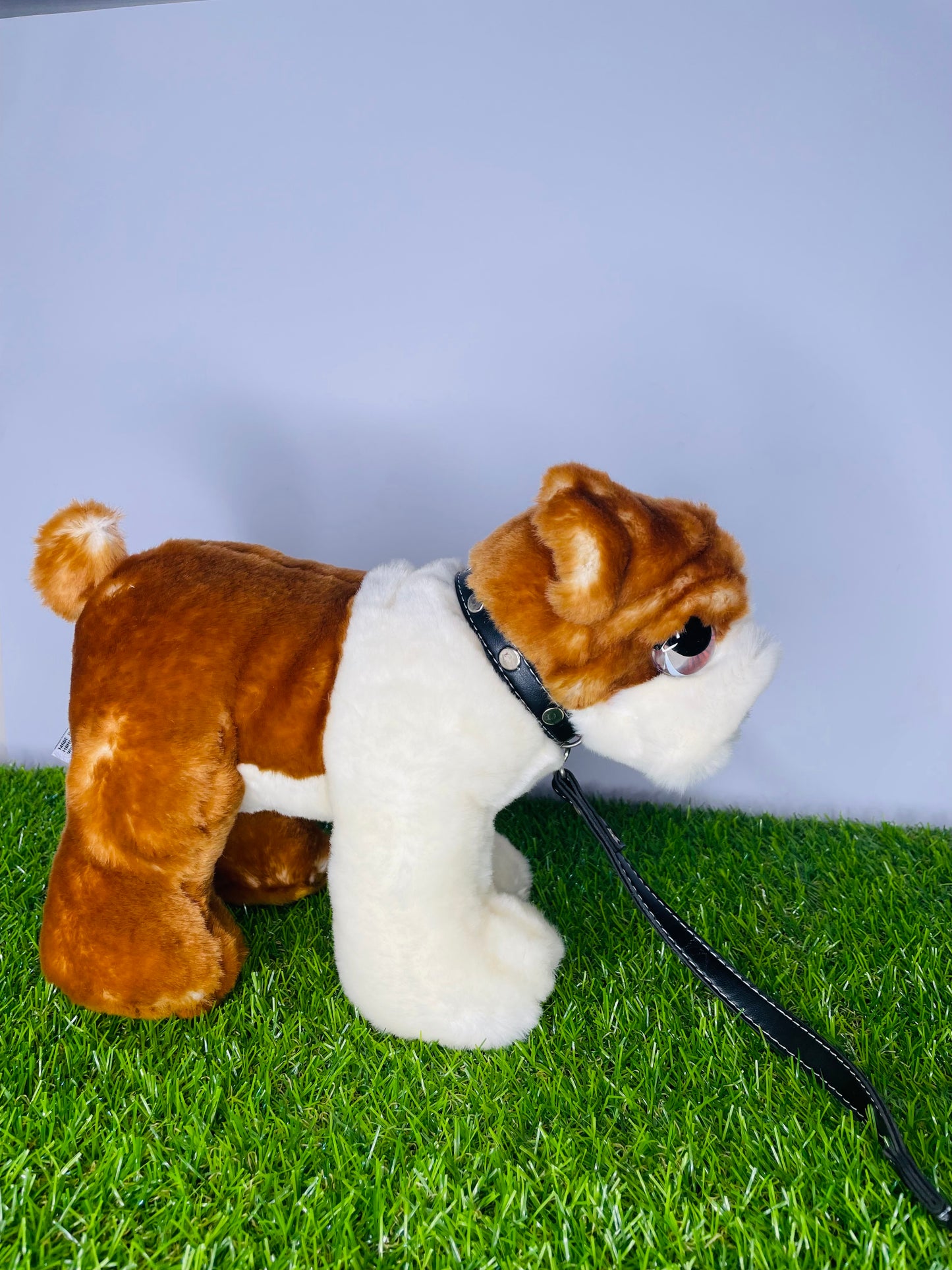 Adorable Puppy Plush With Collar and Lead