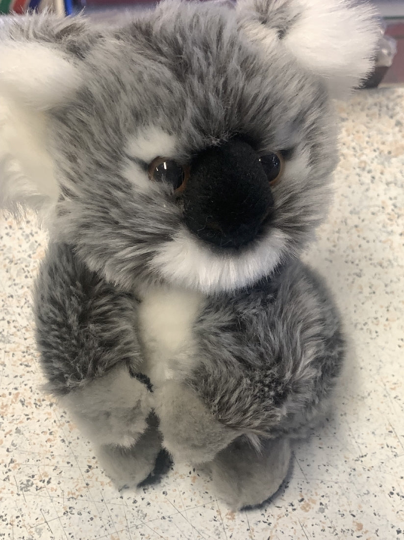 KOALA JARRAH 18CM (71492-18)